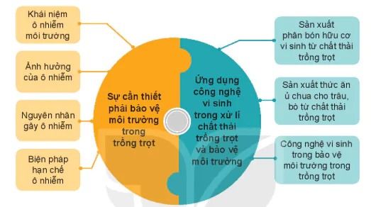 hinh-anh-on-tap-chuong-viii-13331-0