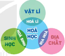 hinh-anh-mo-dau-13333-0