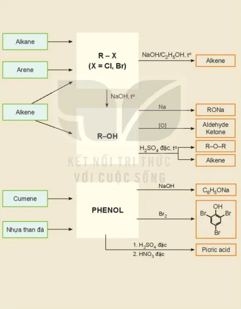 hinh-anh-bai-22-on-tap-chuong-5-13665-0