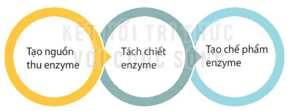 hinh-anh-bai-6-quy-trinh-cong-nghe-san-xuat-enzyme-13227-0