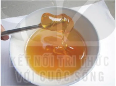 hinh-anh-bai-8-du-an-tim-hieu-ve-ung-dung-enzyme-13229-0