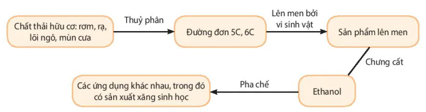 hinh-anh-bai-10-vi-sinh-vat-trong-phan-giai-cac-hop-chat-lam-o-nhiem-moi-truong-13231-0