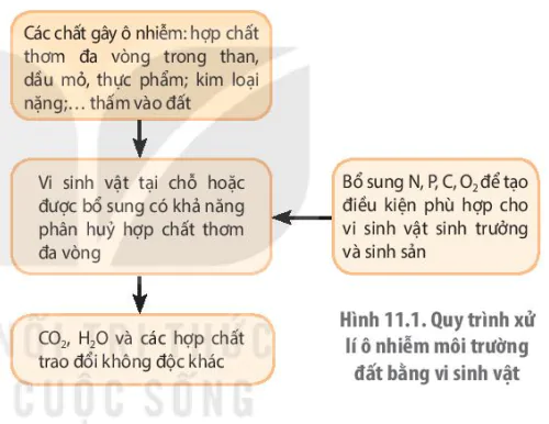hinh-anh-bai-11-cong-nghe-ung-dung-vi-sinh-vat-trong-xu-li-o-nhiem-moi-truong-13232-0