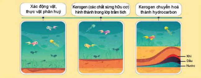 hinh-anh-bai-7-nguon-goc-dau-mo-thanh-phan-va-phan-loai-dau-mo-13551-0