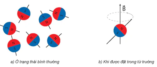 hinh-anh-bai-8-chup-cong-huong-tu-13916-1