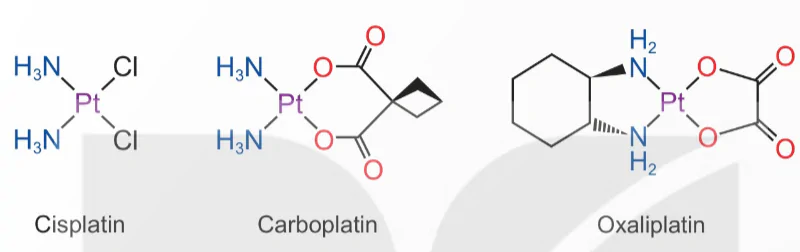 hinh-anh-bai-9-vai-tro-va-ung-dung-cua-phuc-chat-13930-1 hinh-anh-bai-9-vai-tro-va-ung-dung-cua-phuc-chat-13930-1