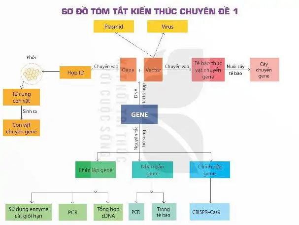 hinh-anh-so-do-tom-tat-kien-thuc-chuyen-de-1-13939-0 hinh-anh-so-do-tom-tat-kien-thuc-chuyen-de-1-13939-0