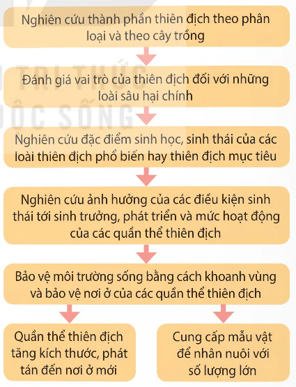 hinh-anh-bai-6-cac-bien-phap-kiem-soat-sinh-hoc-13941-0 hinh-anh-bai-6-cac-bien-phap-kiem-soat-sinh-hoc-13941-0
