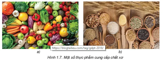 hinh-anh-bai-1-thanh-phan-dinh-duong-trong-thuc-pham-5717-9