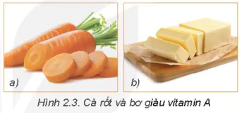 hinh-anh-bai-2-lua-chon-va-bao-quan-thuc-pham-5719-2