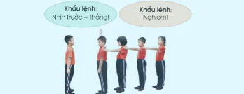 hinh-anh-bai-1-tu-the-dung-nghiem-dung-nghi-tap-hop-hang-doc-dong-hang-diem-so-6211-6