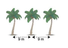 hinh-anh-bai-9-dau-hieu-chia-het-7280-4