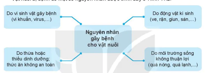 hinh-anh-bai-11-phong-va-tri-benh-cho-vat-nuoi-7451-2