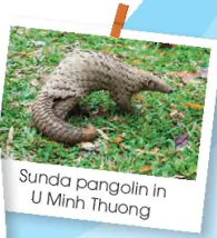 hinh-anh-reading-7489-1 hinh-anh-reading-7489-1