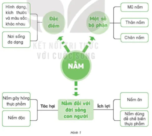 hinh-anh-bai-22-on-tap-chu-de-nam-8254-0