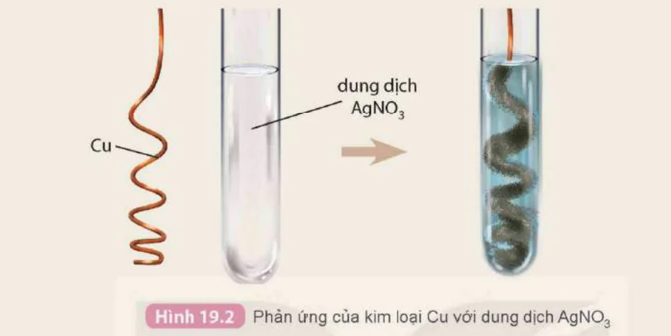 hinh-anh-bai-19-day-hoat-dong-hoa-hoc-8945-1