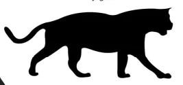 hinh-anh-canopy-creatures-9387-1 hinh-anh-canopy-creatures-9387-1