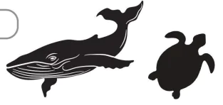 hinh-anh-ocean-oddities-9389-1 hinh-anh-ocean-oddities-9389-1