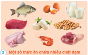 hinh-anh-bai-17-cac-chat-dinh-duong-can-thiet-cho-co-the-10866-1