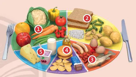 hinh-anh-clil-science-food-and-nutrients-11459-1