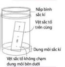 hinh-anh-bai-5-thuc-hanh-quang-hop-o-thuc-vat-12064-1