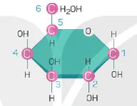 hinh-anh-bai-5-cac-phan-tu-sinh-hoc-12804-2