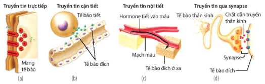 hinh-anh-bai-12-truyen-tin-te-bao-12833-1