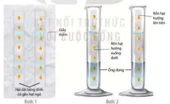 hinh-anh-bai-16-thuc-hanh-cam-ung-o-thuc-vat-12838-1