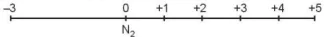 hinh-anh-bai-4-nitrogen-13179-1