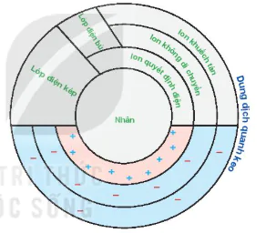 hinh-anh-bai-3-gioi-thieu-ve-dat-trong-13253-4