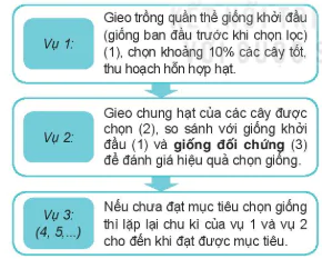 hinh-anh-bai-12-mot-so-phuong-phap-chon-tao-giong-cay-trong-13270-1