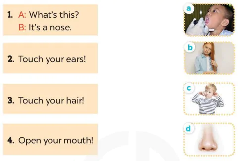 hinh-anh-lesson-3-13867-1