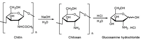 hinh-anh-bai-6-dieu-che-glucosamine-hydrochloride-tu-vo-tom-13550-1