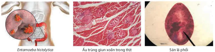 hinh-anh-bai-10-ngo-doc-thuc-pham-13589-1 hinh-anh-bai-10-ngo-doc-thuc-pham-13589-1