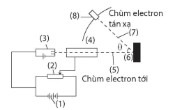 hinh-anh-bai-10-luong-tinh-song-hat-13918-5