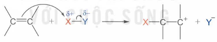 hinh-anh-bai-3-co-che-phan-ung-cong-13924-11 hinh-anh-bai-3-co-che-phan-ung-cong-13924-11