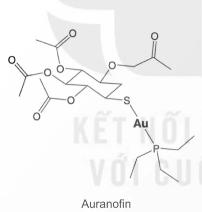 hinh-anh-bai-9-vai-tro-va-ung-dung-cua-phuc-chat-13930-2 hinh-anh-bai-9-vai-tro-va-ung-dung-cua-phuc-chat-13930-2