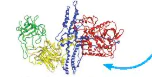 hinh-anh-bai-5-cac-phan-tu-sinh-hoc-12804-17