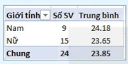 hinh-anh-bai-12-mo-ta-so-lieu-bang-pivottable-13167-0