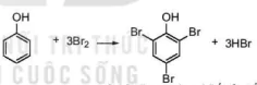 hinh-anh-bai-21-phenol-13664-12