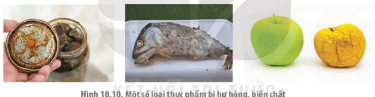 hinh-anh-bai-10-ngo-doc-thuc-pham-13589-10 hinh-anh-bai-10-ngo-doc-thuc-pham-13589-10