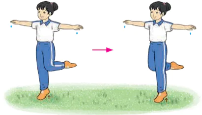 hinh-anh-chu-de-3-bai-1-bai-tap-ren-luyen-ki-nang-thang-bang-5563-13