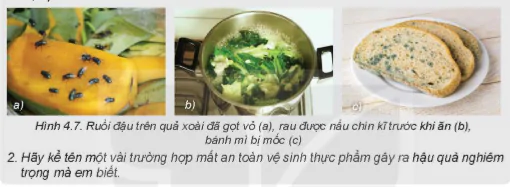 hinh-anh-bai-4-an-toan-lao-dong-va-an-toan-ve-sinh-thuc-pham-5723-7