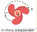 hinh-anh-bai-22-hinh-tam-doi-xung-9467-9