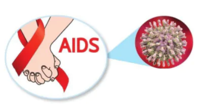 hinh-anh-bai-16-virus-va-vi-khuan-10931-10