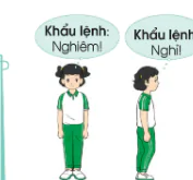 hinh-anh-bai-1-tu-the-dung-nghiem-dung-nghi-tap-hop-hang-doc-dong-hang-diem-so-6211-2