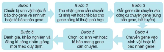 hinh-anh-bai-12-mot-so-phuong-phap-chon-tao-giong-cay-trong-13270-22