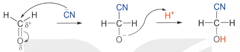 hinh-anh-bai-3-co-che-phan-ung-cong-13924-30 hinh-anh-bai-3-co-che-phan-ung-cong-13924-30