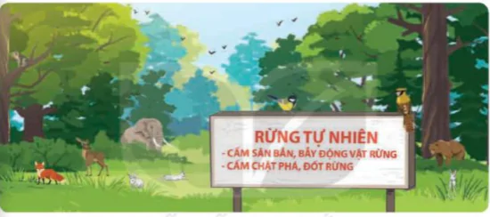 hinh-anh-bai-30-vai-tro-cua-thuc-vat-trong-chuoi-thuc-an-8262-14