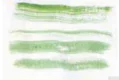 hinh-anh-bai-1-ki-thuat-ve-mau-nuoc-12299-14
